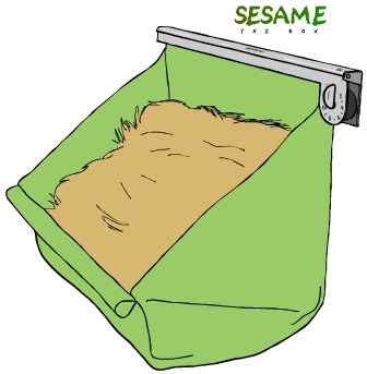 Sesame the Box�