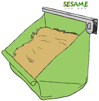 Sesame the Box